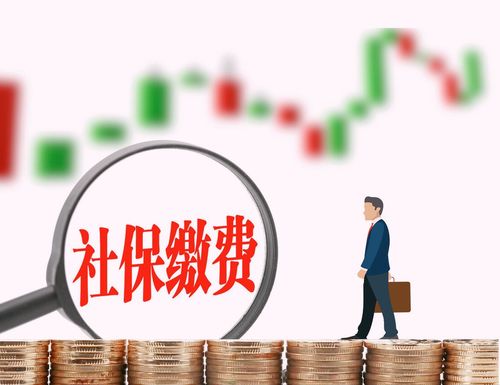 如何查詢公司養老保險繳費檔次 60%、100%還是300%？